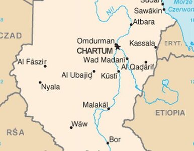 Miniatura: Na północy Sudanu zamieszki, na południu...