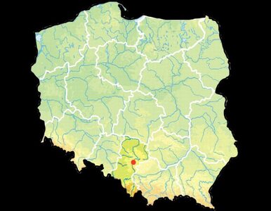 Miniatura: W Sosnowcu zapadła się ziemia. 15-metrowa...