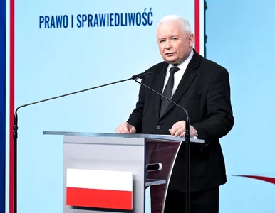 Miniatura: Tak wagarują Kaczyński i Mejza. Poseł KO...