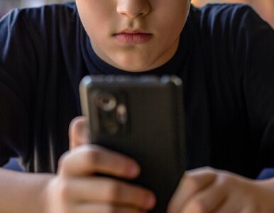 Miniatura: Social media nie dla wszystkich? Giertych...