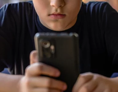 Miniatura: Social media nie dla wszystkich? Giertych...