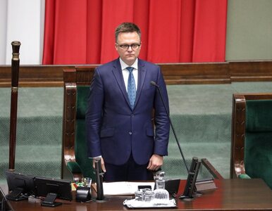 Miniatura: „Wschodząca gwiazda polskiej polityki”....
