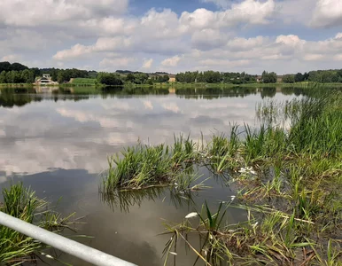 Miniatura: Ponury widok na plaży w województwie...