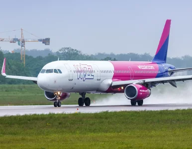 Miniatura: Wizz Air uruchamia nowe trasy. Będzie...