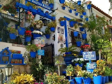 La casita de las macetas azules w Alicante 