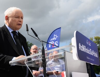 Miniatura: Kaczyński zgłodniał po pikniku w...