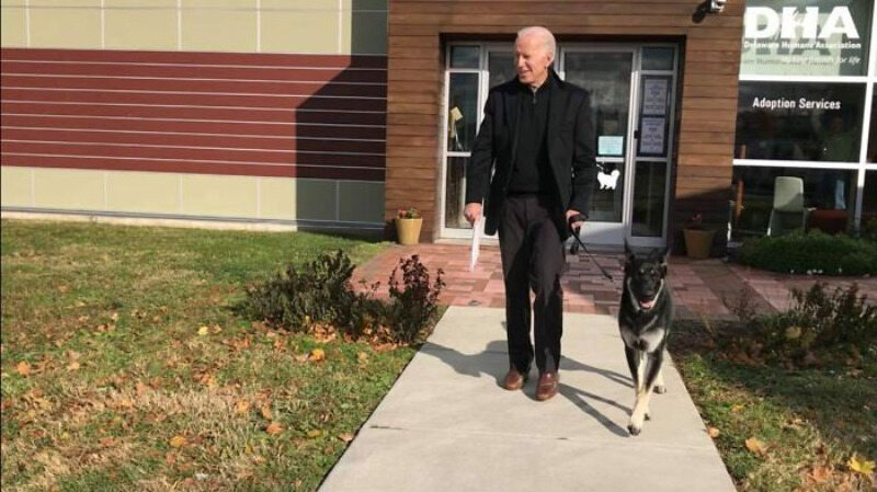 Joe Biden i jeden z jego psów 