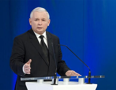 Miniatura: Kaczyński: a Tusk jak cysorz, co ma klawe...