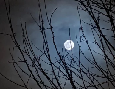 Miniatura: Niezwykłe zjawisko na niebie. Zobacz, jak...