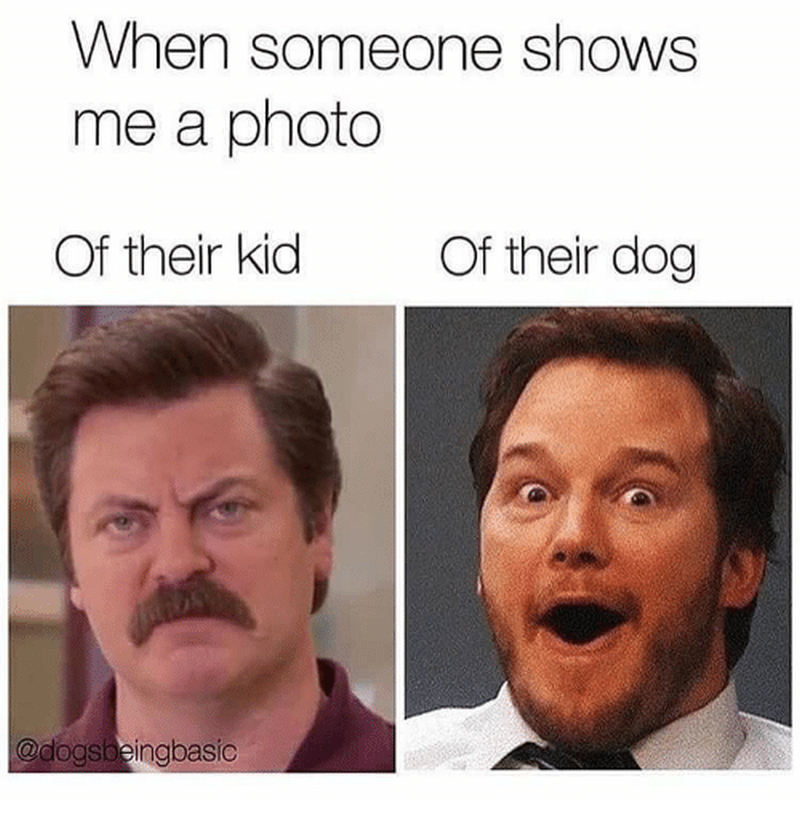 Kiedy ktoś pokazuje mi zdjęcie swojego: dziecka/psa 