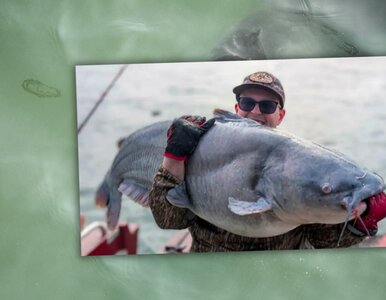 Miniatura: Rekordowe sumy w zimowej mgle. Niezwykły...