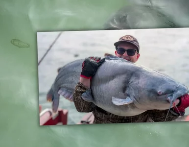 Miniatura: Rekordowe sumy w zimowej mgle. Niezwykły...