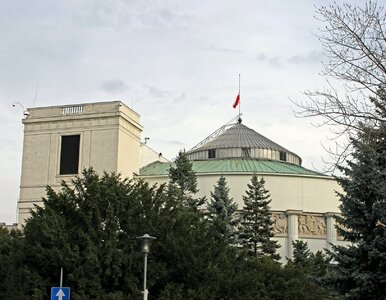 Miniatura: QUIZ dla zorientowanych. Pytamy o...