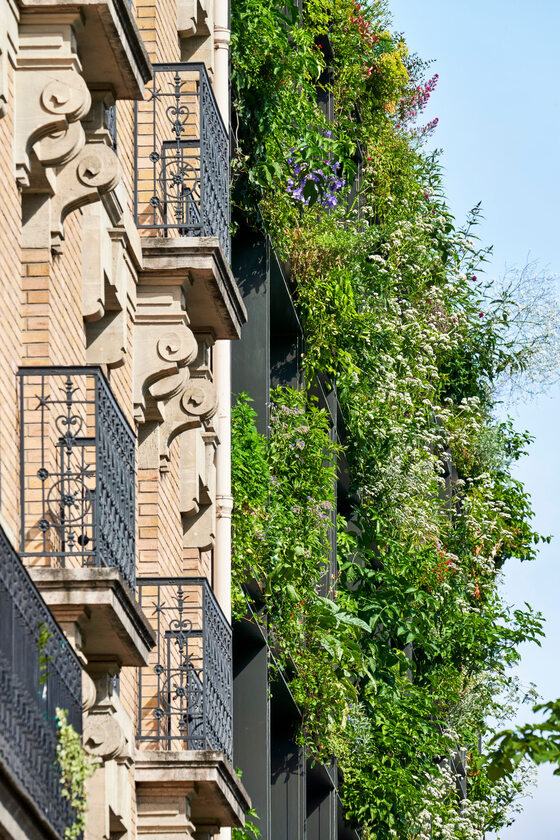 Villa M w Paryżu, ekologiczna architektura low-tech, projekt Triptyque v2com, 2001-01, Triptyque, Paryż, zielona ściana, zielony dach