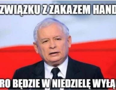 Miniatura: Zakaz handlu w niedziele oczami...