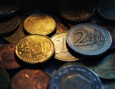 Miniatura: Europejski nadzór bankowy? Strefie euro...
