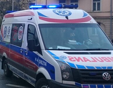 Miniatura: Tragiczny wypadek w Szczecinie. Kobieta...