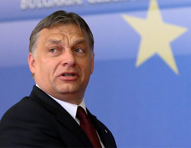 Miniatura: "Orban i Janukowycz dążą do putinizacji...