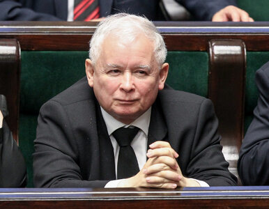 Miniatura: Możliwe spotkanie Kaczyński-Trump?...