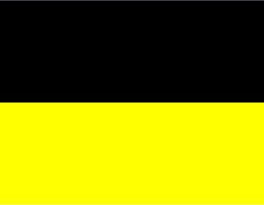 Miniatura: Kaszubi będą wywieszać czarno-żółte flagi?...