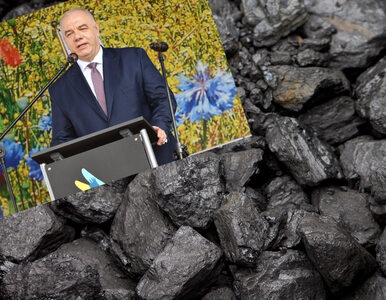 Miniatura: Bogdanka zmniejszy wydobycie węgla. Jacek...