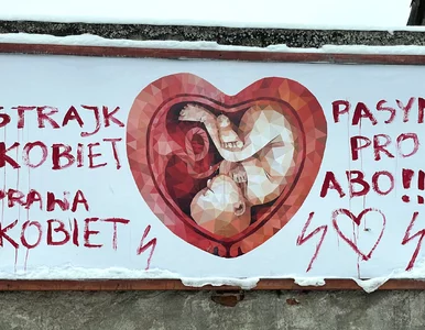 Miniatura: Kto ma decydować o prawie aborcyjnym?...