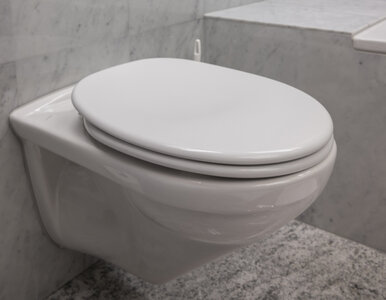 Miniatura: Twoja toaleta znów może lśnić! Płynny...