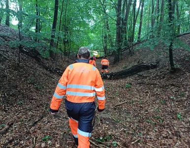 Miniatura: Mija miesiąc od zaginięcia matki czworga...