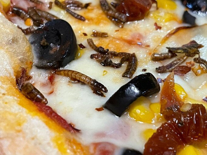 Pizza z owadami
