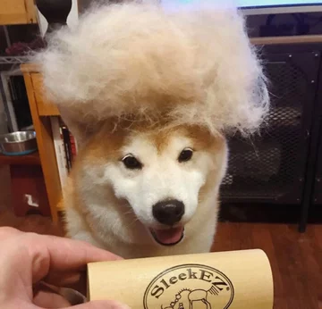 Fryzura jak znalazł! 