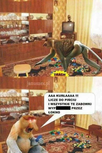 Mem z nosaczem sundajskim 