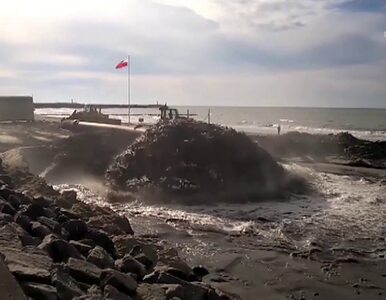 Miniatura: Plaża w Kołobrzegu poszerzona dwukrotnie
