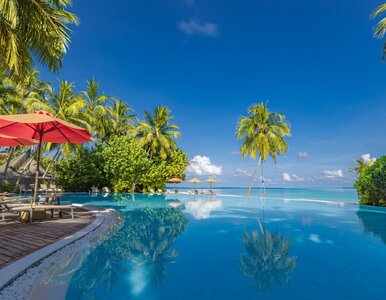 Miniatura: Uwielbiany wakacyjny kraj wprowadził...