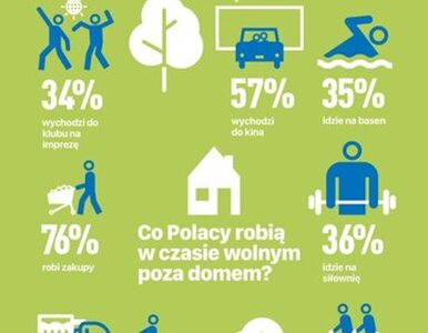 Miniatura: Jak Polacy spędzają czas wolny?