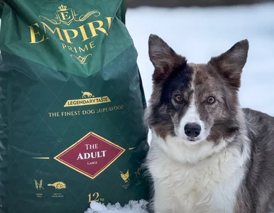 Miniatura: Empire Prime z jagnięciną – smakowitość i...