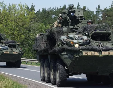 Miniatura: „Gotowość do wejścia na Ukrainę”, „Polska...