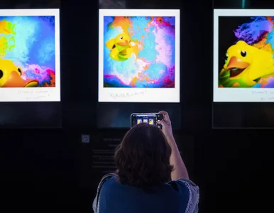 Miniatura: NFT zmienia świat. Szansa dla sztuki czy...