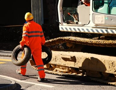 Miniatura: Hiszpanie i Grecy zastępują Polaków w...