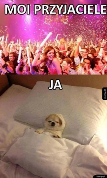 Mem z okazji Sylwestra 