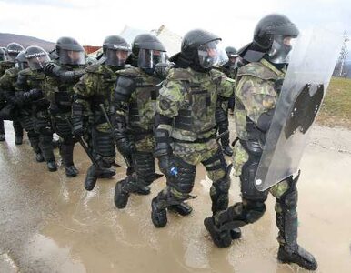 Miniatura: Ukraina apeluje o pomoc militarną do NATO...