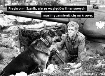 Memy po zapowiedziach o programie "500 plus dla krów" 