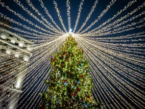 Miniatura: Oto najpiękniejsza choinka na świecie....