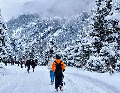 Miniatura: Obockrajowiec odwiedził Tatry. To, co...