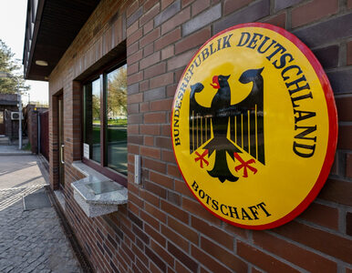 Miniatura: Rosja wydali niemieckich dyplomatów....