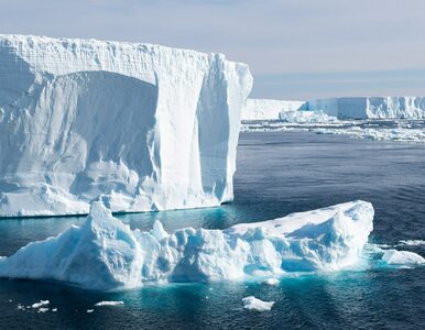 Eksperci alarmują. Poziom lodu na Antarktydzie jeszcze nie był tak niski