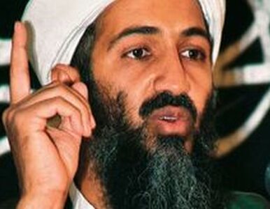 Miniatura: Bin Laden ciężko chory? Al-Kaida ma nowego...