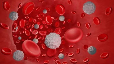 Miniatura: To może zmienić leczenie białaczki....