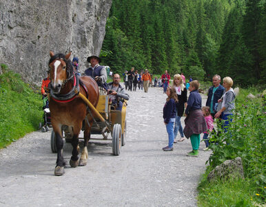 Miniatura: Wiosna w Tatrach. Nie, to nie pomyłka....