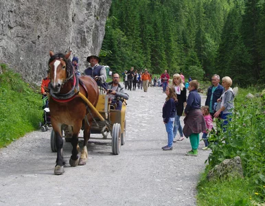 Miniatura: Wiosna w Tatrach. Nie, to nie pomyłka....