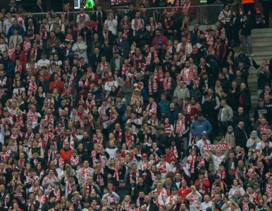 Miniatura: Kibice zaskoczyli na PGE Narodowym! Czegoś...